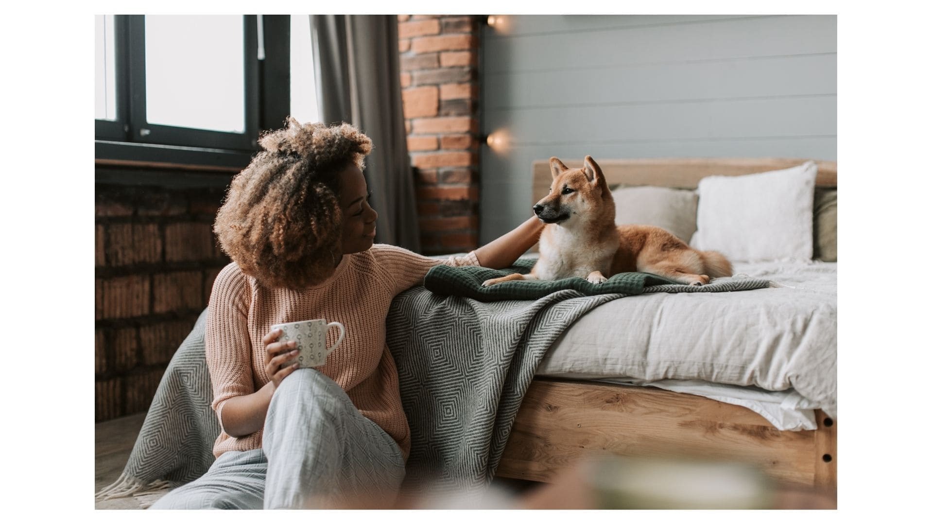 ペットと暮らす家づくりの注意点｜失敗しないための7つのポイント